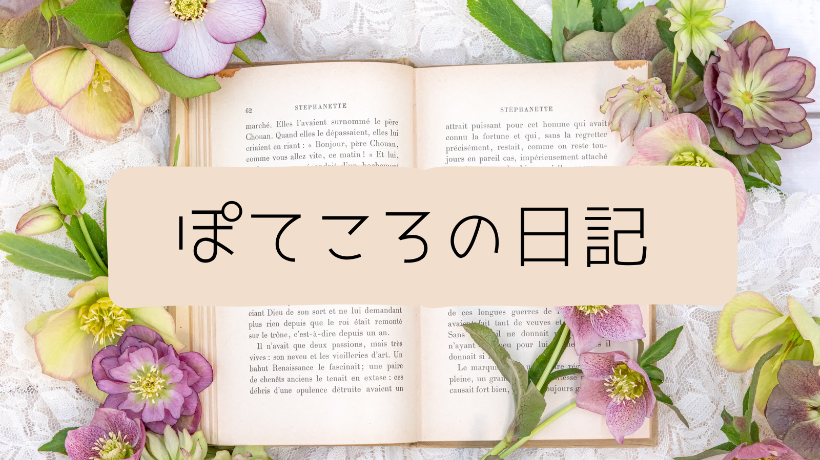 ぽてころの日記